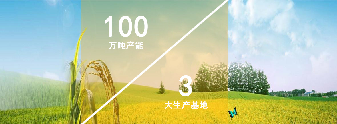 公司簡介背景
